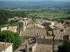 Le Barroux - Toits des maisons du village