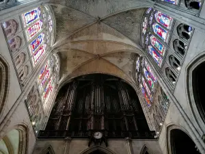 Basilica di San Denis - Organo della basilica di Saint-Denis