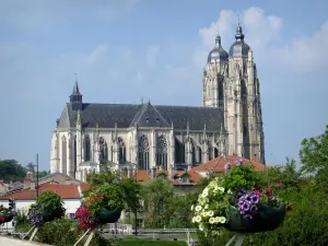 Basiliek van Saint-Nicolas-de-Port - Zicht op de Sint-Nicolaasbasiliek in gotische stijl, met bloempotten op de voorgrond