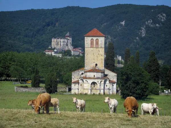 Basilika Saint-Just de Valcabrère - Kühe in einer Weide vorne, romanische Basilika, Bäume, Kathedrale Saint-Bertrand-de-Comminges im Hintergrund und Hügel des Comminges