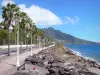 Basse-Terre - Promenade du bord de mer agrémentée de palmiers avec vue sur les monts Caraïbes
