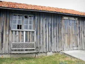 Bassin d'Arcachon - Cabane ostréicole et son banc, à Audenge