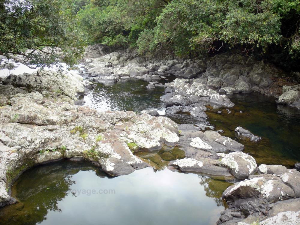 Photos Bassin Bœuf 4 images de qualité en haute définition