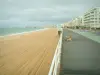 O baule - Praia de areia, mar (Oceano Atlântico), calçadão, residências à beira-mar e céu tempestuoso