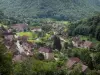 Baume-les-Messieurs - Houses of the village, prairies and trees