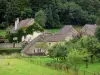 Baume-les-Messieurs - Houses of the village, prairies and trees