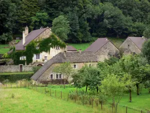 Baume-les-Messieurs - Village huizen, weilanden en bomen
