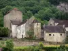 Baume-les-Messieurs - Abadía de los edificios (Abbey) y los árboles