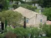 Baux-de-Provence - Casa in pietra con le persiane blu e circondata da alberi