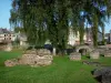 Bavay - Site archéologique (vestiges romains), arbres et maisons de la ville ; dans le Parc Naturel Régional de l'Avesnois