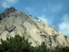 Bavella massif - Pines and trees perched on a rocky granite wall (mountain)