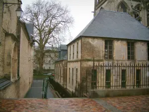 Bayeux - Los edificios del casco antiguo (medieval) y el árbol