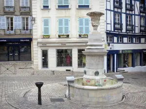 Bayonne - Facciate e Fountain Place Louis Pasteur
