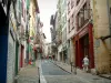 Bayonne - La calle comercial de la ciudad vieja