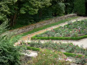 Bazas - Sultan garden and its Rose garden 