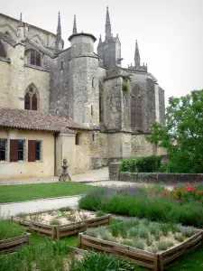 Bazas - Garden of the Chapter and Saint-Jean-Baptiste cathedral 