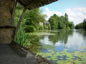 Bazouges-sur-le-Loir - Wash house overlooking River Loir and trees at the water's edge (in the Loir Valley)