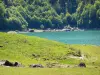 Béarn的风景 - 比利牛斯国家公园：Lake Bious-Artigues湖及其绿色环境