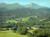 Béarn的风景 - 翠绿的翠绿山谷