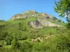 Béarn的风景 - 比利牛斯山脉