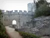 Beaucaire - Remains of the castle 