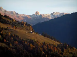 Beaufortain - Chalets, alpine pastures, trees of a forest in autumn and snowy tops