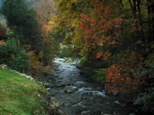 Beaufortain - River lined with trees with autumn colours