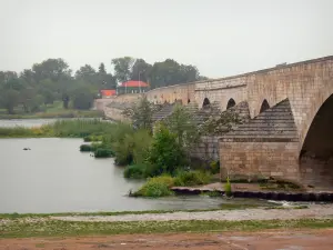 Beaugency - Ponte sul (fiume) Loira, la vegetazione e le banche (Valle della Loira)