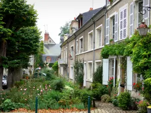 Beaugency - Case, fiori, piante, rose (rose) e gli alberi