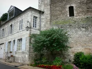 Beaugency - Keep (César tower), house, flowers and shrubs