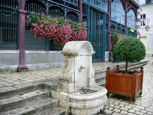 Beaugency - Halles ornées de fleurs, fontaine et arbuste en pot