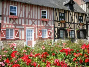 Le Bec-Hellouin - Bloming roses and facades of half-timbered houses in the village