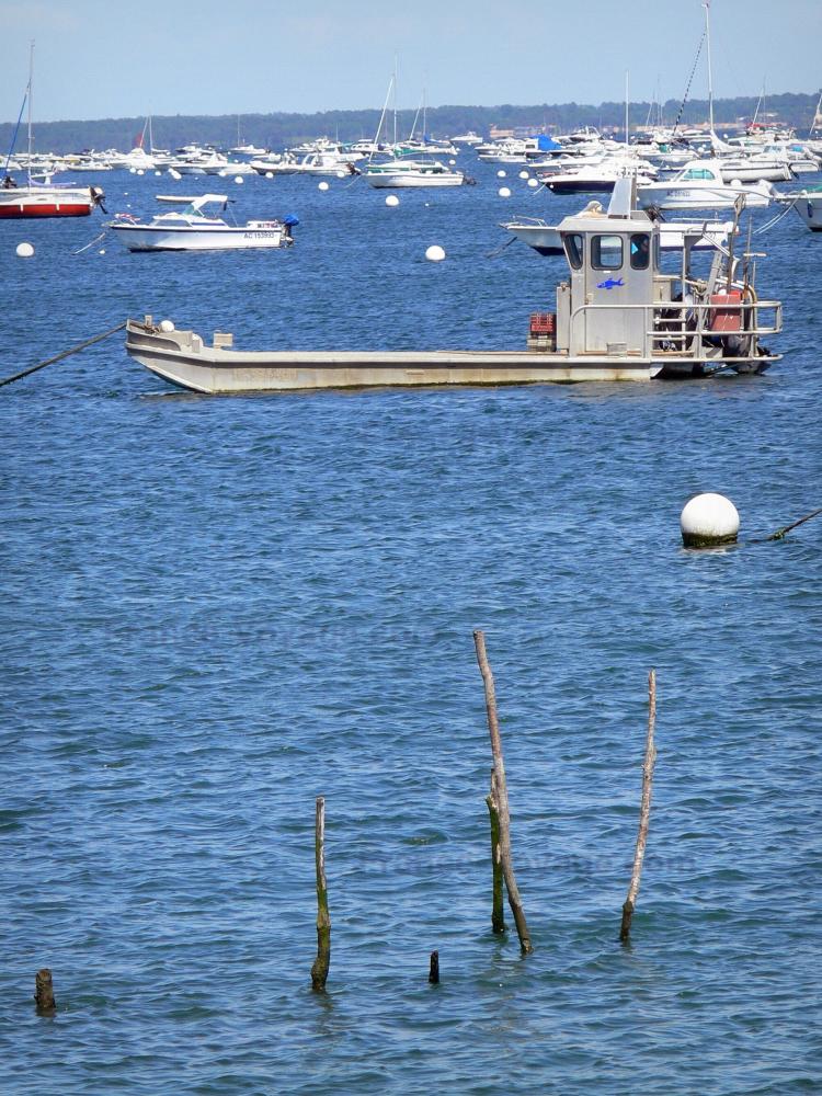 Becken Von Arcachon Becken Von Arcachon