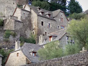 Belcastel - View of the stone houses of the medieval village