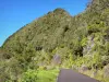 Bélier road - Landscape of the forest road of upper Mafate