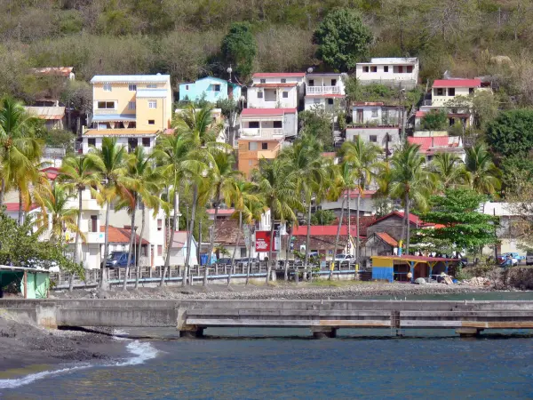 Bellefontaine - Facades and palms of the village waterfront