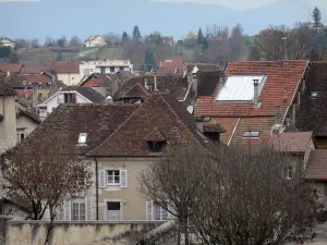 Belley - Vue sur les toits de maisons de la vieille ville