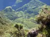 Belvédère du Maïdo - Uitzicht op de groene Mafate en de eilandjes