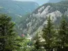 Belvédère des Maquisards - Du belvédère, vue sur les montagnes jurassiennes couvertes d'arbres