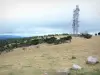 Berg Aigoual - Berg Aigoual und seine Telekommunikation Antennen; im Aigoual Massiv, im Nationalpark der Cevennes (Cevennes Massiv)