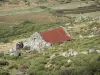 Berg Lozère - Cevennen Nationalpark: Steinhäuschen umgeben von Heiden und Weiden