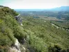 Berg Sainte-Victoire - Van de berg, met uitzicht op de omliggende vlakte bedekt met velden en bomen