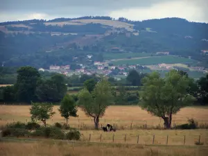 Bergen van de Forez - Bergen van de Forez dominante gebied van Forez vlakte