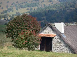 Bergen van de Forez - Jasserie (zomer weide hut) Grand Juniper, in het Regionaal Natuurpark Livradois