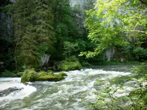 Bergengte van de Doubs - Rivier de Doubs, bomen en rotsen (rotswand)