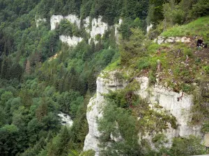 Bergengte van de Doubs - Kliffen (rotsen), bomen en de rivier de Doubs hieronder