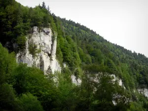 Bergengte van de Doubs - Cliffs (rotsen) en bomen (bos)