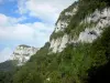 Bergengte van de Guiers Mort - Chartreuse (Regionale Natuurpark van de Chartreuse) kliffen (rotswanden) en bomen