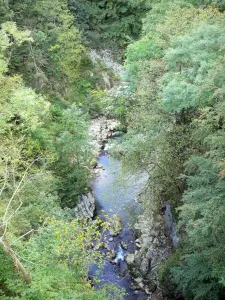 Bergengte van de Guiers Mort - Chartreuse (Regionale Natuurpark van de Chartreuse): zicht op de rivier omzoomd met bomen