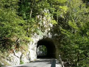 Bergengte van de Guiers Mort - Chartreuse (Regionale Natuurpark van de Chartreuse): Tunnel, Route des Gorges en bomen